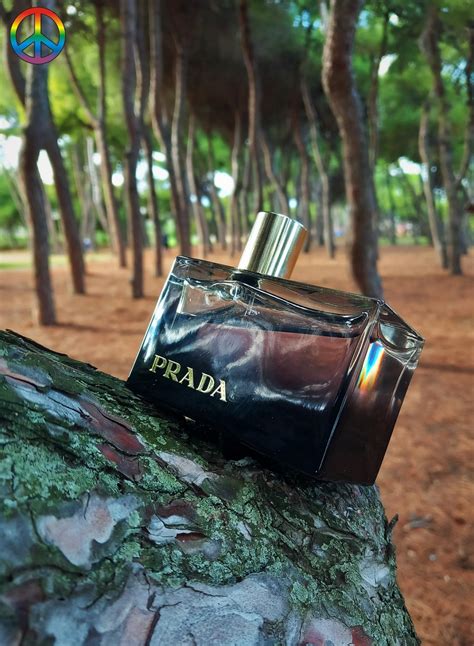 prada ambree perfume 2009.